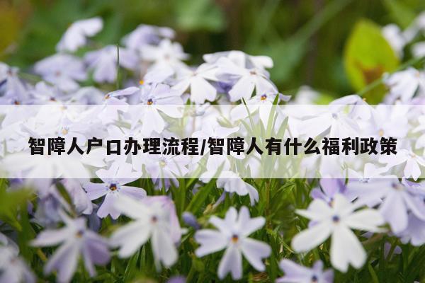 智障人户口办理流程/智障人有什么福利政策