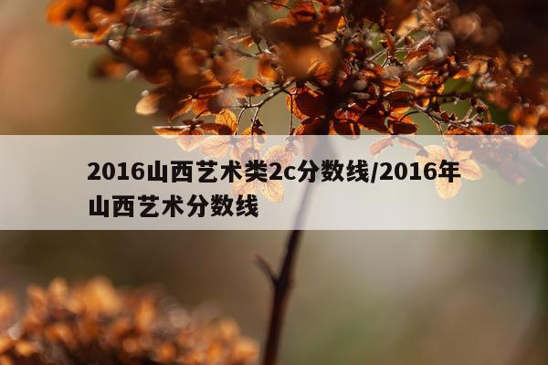 2016山西艺术类2c分数线/2016年山西艺术分数线