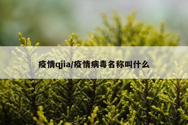 疫情qjia/疫情病毒名称叫什么