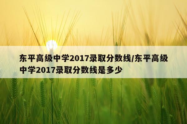 东平高级中学2017录取分数线/东平高级中学2017录取分数线是多少