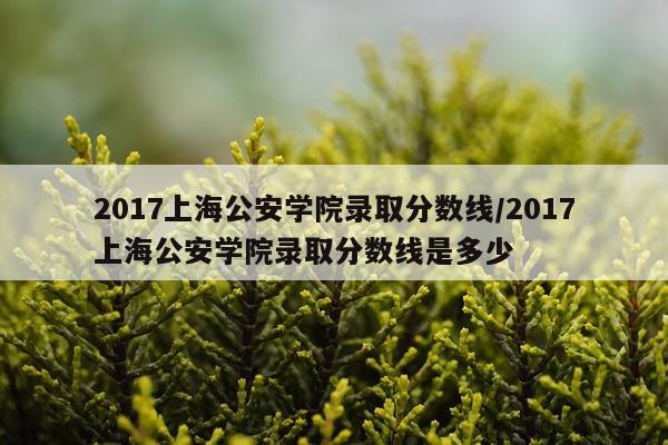 2017上海公安学院录取分数线/2017上海公安学院录取分数线是多少