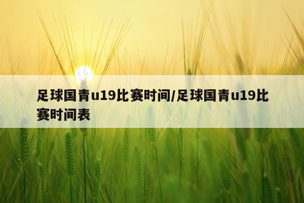 足球国青u19比赛时间/足球国青u19比赛时间表
