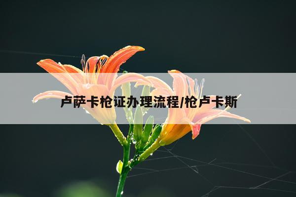 卢萨卡枪证办理流程/枪卢卡斯