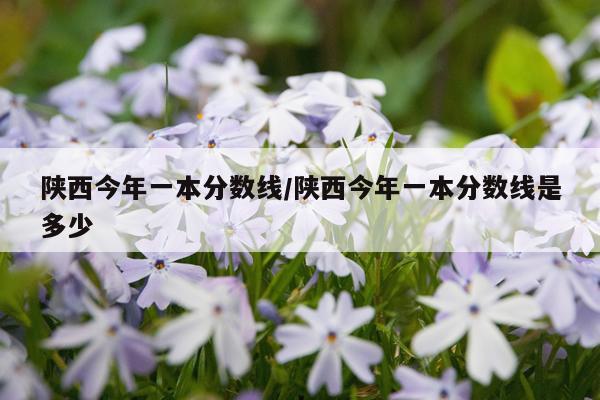 陕西今年一本分数线/陕西今年一本分数线是多少
