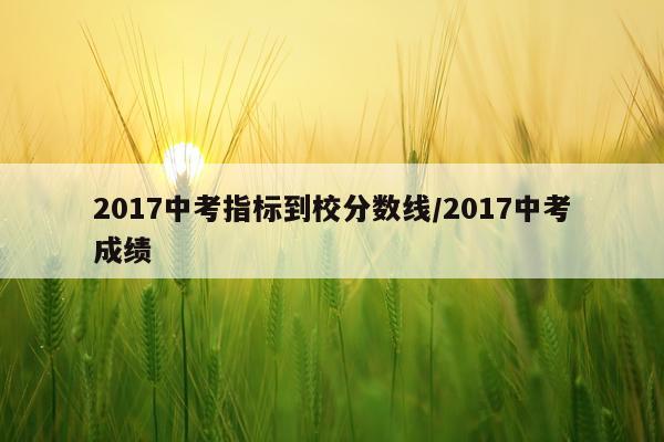 2017中考指标到校分数线/2017中考成绩