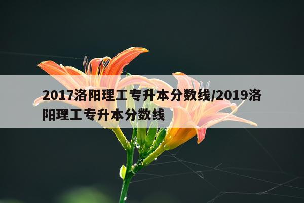 2017洛阳理工专升本分数线/2019洛阳理工专升本分数线