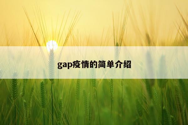 gap疫情的简单介绍
