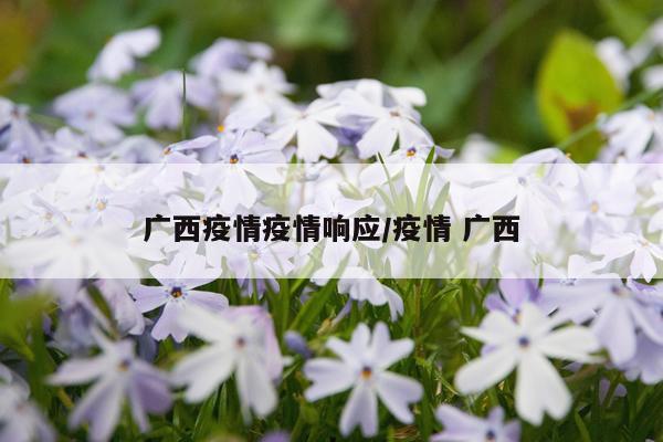 广西疫情疫情响应/疫情 广西