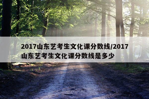 2017山东艺考生文化课分数线/2017山东艺考生文化课分数线是多少