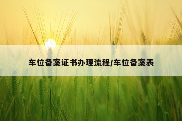 车位备案证书办理流程/车位备案表