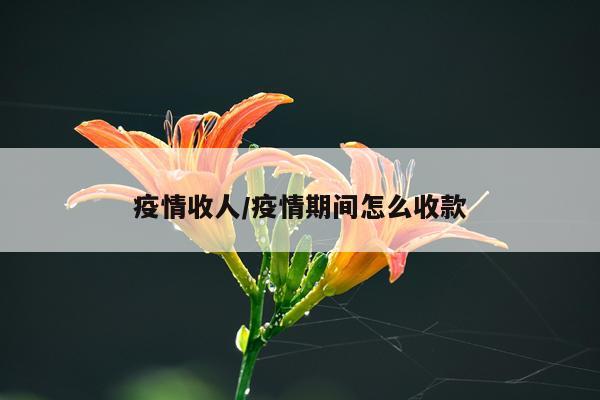 疫情收人/疫情期间怎么收款