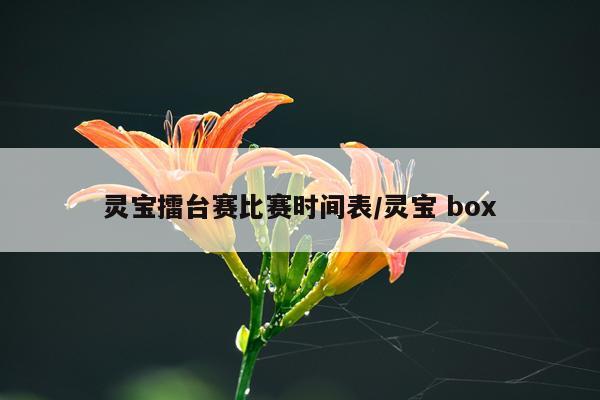 灵宝擂台赛比赛时间表/灵宝 box