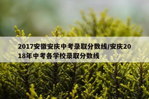 2017安徽安庆中考录取分数线/安庆2018年中考各学校录取分数线