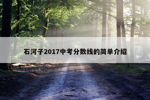 石河子2017中考分数线的简单介绍