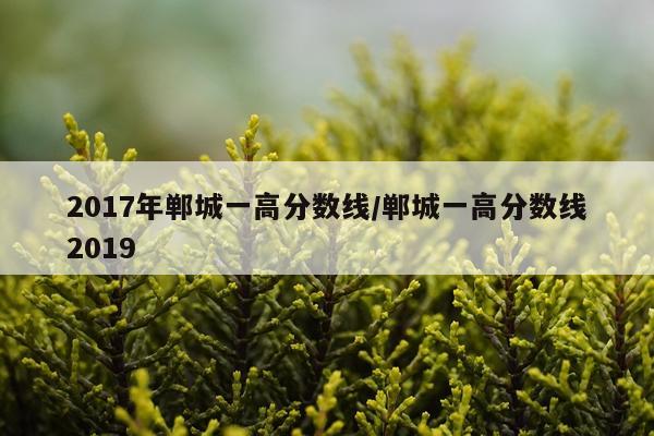 2017年郸城一高分数线/郸城一高分数线2019