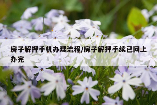 房子解押手机办理流程/房子解押手续已网上办完