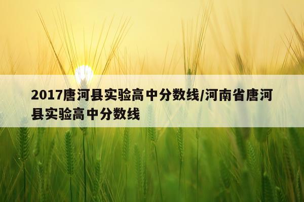 2017唐河县实验高中分数线/河南省唐河县实验高中分数线