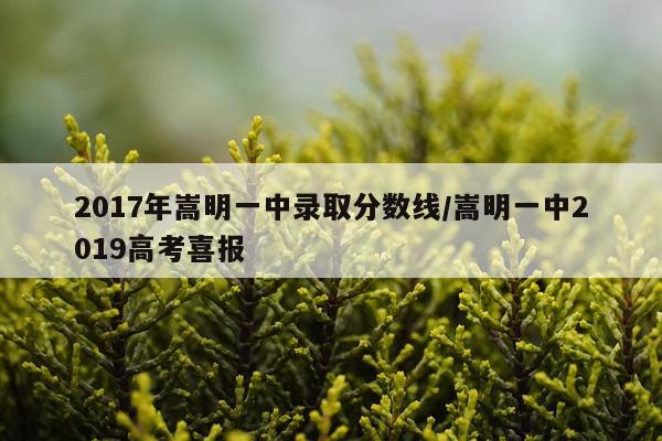 2017年嵩明一中录取分数线/嵩明一中2019高考喜报