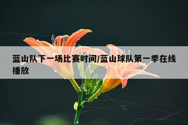 蓝山队下一场比赛时间/蓝山球队第一季在线播放