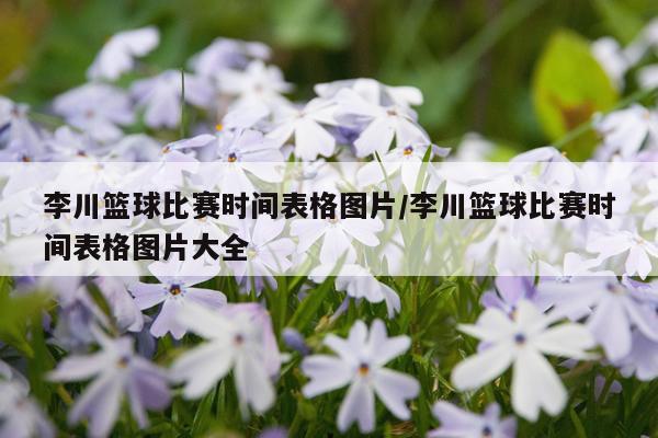 李川篮球比赛时间表格图片/李川篮球比赛时间表格图片大全