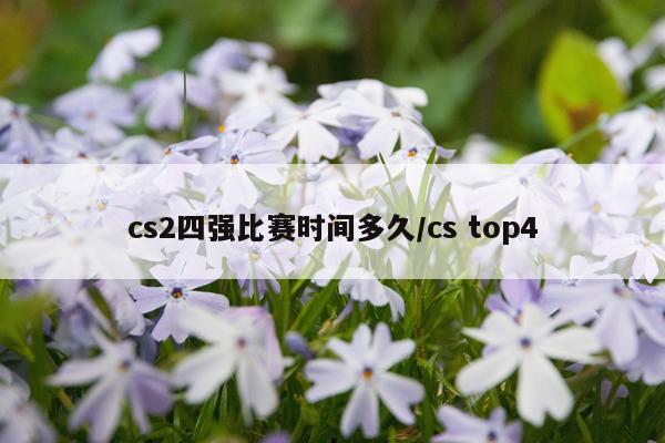 cs2四强比赛时间多久/cs top4