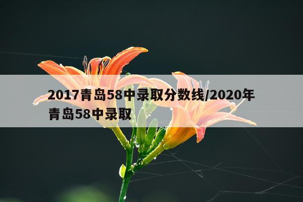 2017青岛58中录取分数线/2020年青岛58中录取