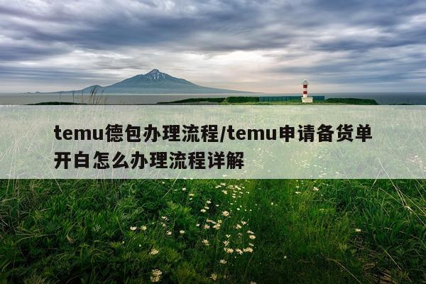 temu德包办理流程/temu申请备货单开白怎么办理流程详解