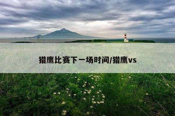 猎鹰比赛下一场时间/猎鹰vs