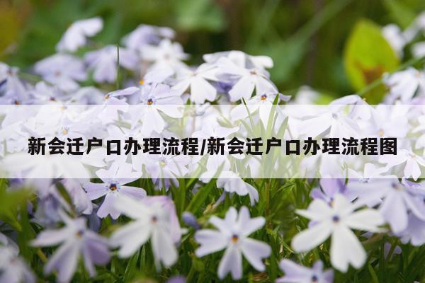 新会迁户口办理流程/新会迁户口办理流程图