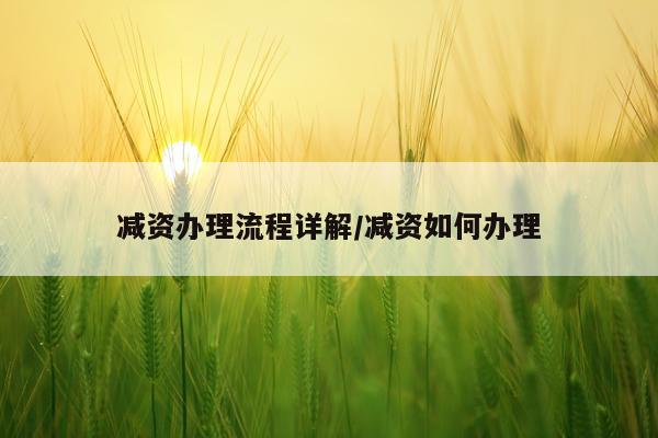 减资办理流程详解/减资如何办理