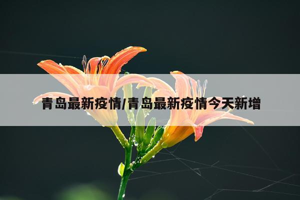 青岛最新疫情/青岛最新疫情今天新增