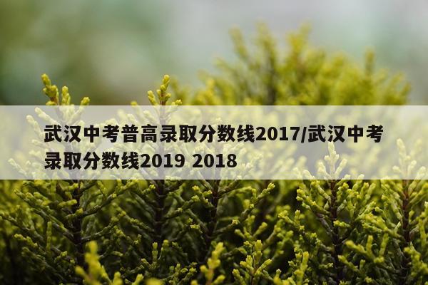 武汉中考普高录取分数线2017/武汉中考录取分数线2019 2018