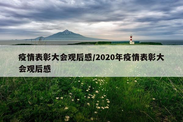 疫情表彰大会观后感/2020年疫情表彰大会观后感