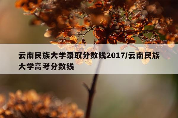 云南民族大学录取分数线2017/云南民族大学高考分数线