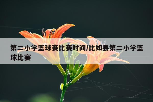 第二小学篮球赛比赛时间/比如县第二小学篮球比赛