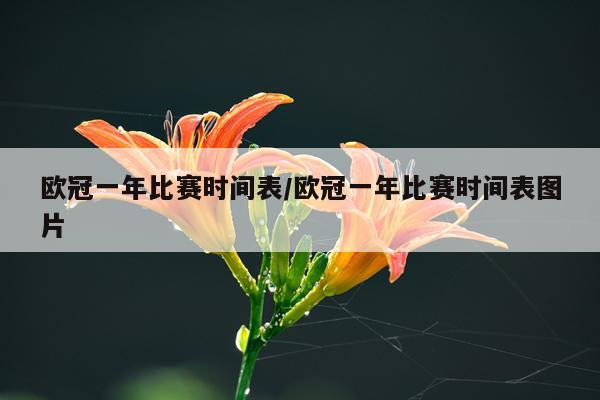 欧冠一年比赛时间表/欧冠一年比赛时间表图片