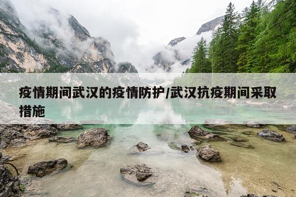 疫情期间武汉的疫情防护/武汉抗疫期间采取措施