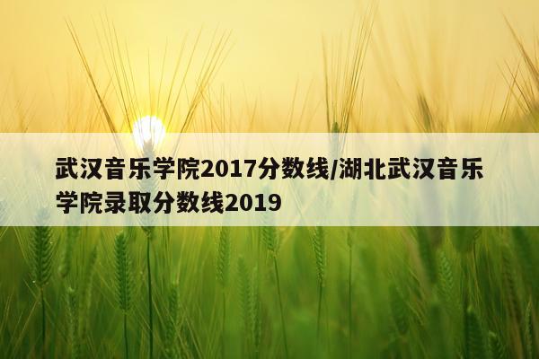 武汉音乐学院2017分数线/湖北武汉音乐学院录取分数线2019