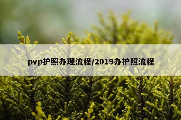 pvp护照办理流程/2019办护照流程