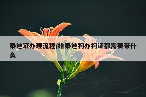 泰迪证办理流程/给泰迪狗办狗证都需要带什么