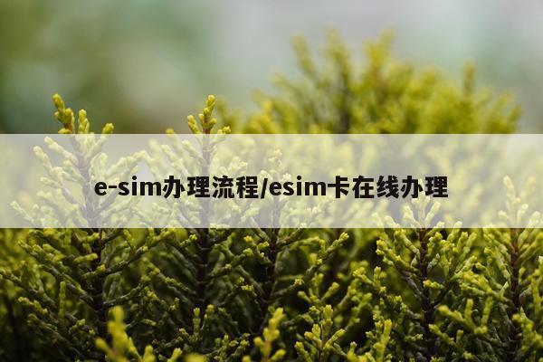 e-sim办理流程/esim卡在线办理
