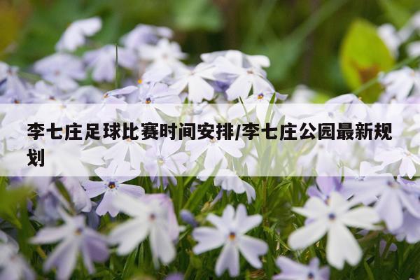 李七庄足球比赛时间安排/李七庄公园最新规划