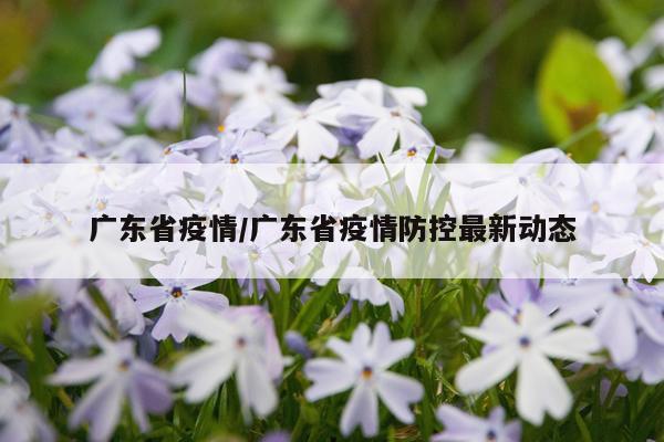 广东省疫情/广东省疫情防控最新动态