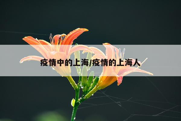 疫情中的上海/疫情的上海人