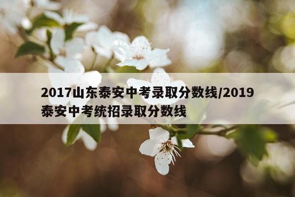 2017山东泰安中考录取分数线/2019泰安中考统招录取分数线