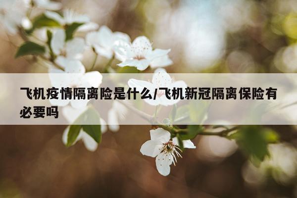 飞机疫情隔离险是什么/飞机新冠隔离保险有必要吗
