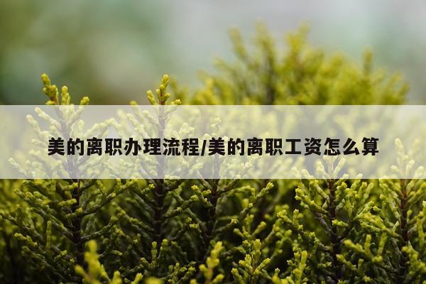 美的离职办理流程/美的离职工资怎么算