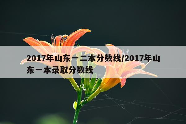 2017年山东一二本分数线/2017年山东一本录取分数线