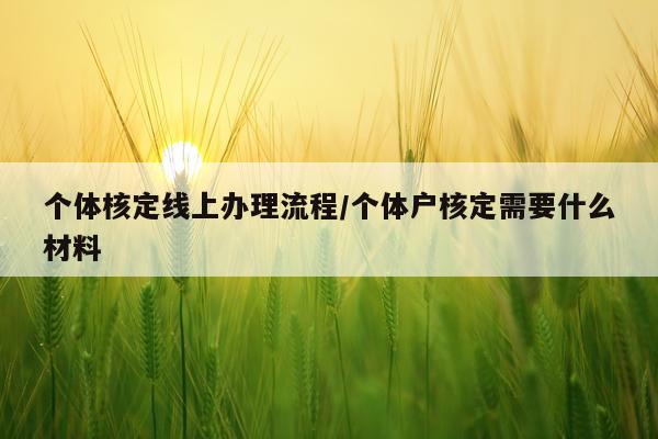 个体核定线上办理流程/个体户核定需要什么材料