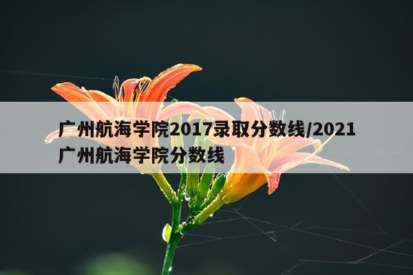 广州航海学院2017录取分数线/2021广州航海学院分数线